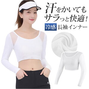 Ci[ ⊴  fB[X D] Vc A_[Vc Ci[Vc ⊴Ci[ ڐG⊴Ci[  A[Jo[ z  e͐ ڐG⊴ Vv n X|[c ejXE