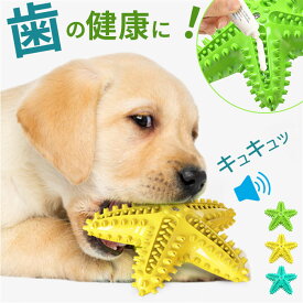 犬 歯磨き おもちゃ 好評 歯磨きおもちゃ 噛むおもちゃ 犬おもちゃ 犬オモチャ ペットおもちゃ 玩具 噛む 音が鳴る 歯ブラシ ヒトデ 大型犬 中型犬 知育玩具 音の出るおもちゃ 犬用品 ペッ