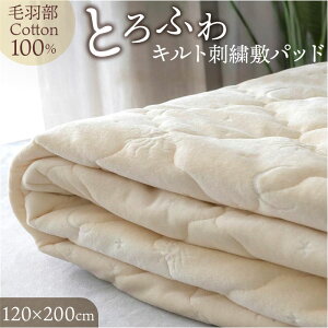 ~pbh Z~_u  D] ~pbh 100% pbh Jo[ xbhpbh 􂦂 Rbg Soh I[V[Y t  H ~ ۉ 킢 Vv i  IV 