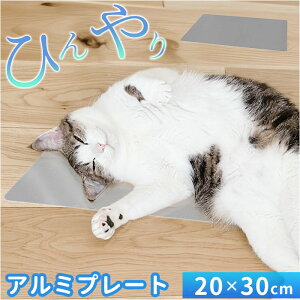 ybg A~v[g D] N[}bg ybgA~v[g ЂObY  Ђ pv[g ⊴  ΍ N[_E ybgObY K nX^[ ETM