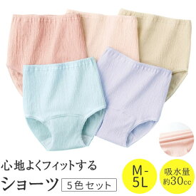 軽失禁ショーツ ショーツ 5色組 レディース 434728 好評 レディースショーツ パンツ レディースインナー 下着 肌着 軽失禁用 フィット シャーリング 伸縮性 ストレッチ インナー カジュアル 女性 大人 おしゃれ オシャレ ギフト プレゼント 贈り物