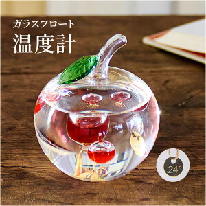 KXt[gxv  D] KIxv xv 333-218 KIT[[^[ u u CeAxv IuWF 킢  Mtg 蕨 j z a