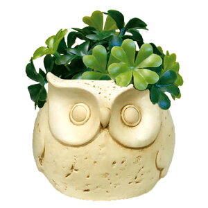 G} tFCNO[ D] C~e[VO[    CeAvc L R CeA  G lH |bg N[o[ fCW[ [J JA