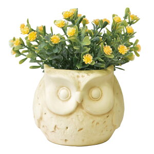 G} tFCNO[ D] C~e[VO[    CeAvc L R CeA  G lH |bg N[o[ fCW[ [J JA