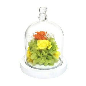 �v���U�[�u�h�t�����[ �K���X�h�[�� �D�] �A�����W�����g�t�����[ ���`�[�t�h�[���A�����W�����g �ԃM�t�g ������� �͂�Ȃ� �����s�v �����j�� �җ�j�� �h�V�̓� ��̓� �a���� �v��