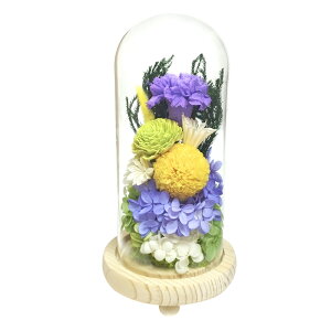 vU[uht[  D]  Ђ KXh[   ͂Ȃ sv @  ~  ފ d  G CeA