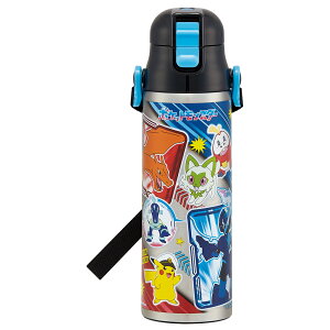 vbV _CNg{g 580ml SKATER XP[^[ D] bNt RpNg y y qp LbY ǂ J[Y }I XibN[h Xk[s[