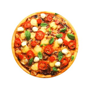 xr[  uPbg xr[^I H V D] ѕz Ԃ ^I 傫TCY Q CX^ 킢   CX^f j oYj LOBe