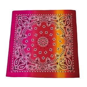 o_i ʔ XJ[t  BANDANNA }XN nJ` ^[o Xq  fBXvC ANZT[  Y fB[X Mtg 蕨