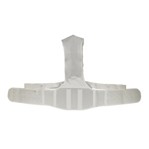 ՌŒ w؋ SCxg D]  w xg w Lw T|[^[ p Lw    ՃOCbƔwSCxg ubN zCg T|[g