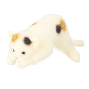 S ʂ L D] lR ˂ A L̂ʂ 58cm ˂̂ʂ  ̎q ӂӂ { 킢  蕨 Mtg 