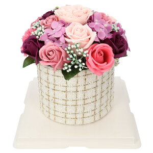 \[vt[ ԑ ʔ \[vt[Mtg t[Mtg ͂Ȃ  CeA u[P t[AWg  AWg t[ AW tOX\[vt