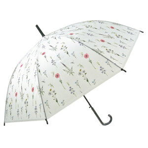 rj[P IV D] fB[X P 58cm WvP JP   l 킢 LN^[  ^b` Wv ʊw ʋ POE OXt@Co[ fB[XJP