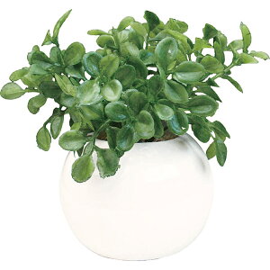 G} ϗtA D] CeAO[ tFCNO[ ~j A    ͂Ȃ  RpNg Eh|bg ی^ C~e[VO[ L  C