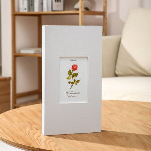 tHgAo 300 D] ʐ^ Ao tHg z \ [  j̎q ̎q q  킢 fUC  蕨 Mtg