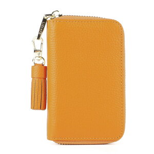 LIZDAYS YfCY L[P[X ʔ lz-68101 X}[gL[P[X fB[X  L[O 6A }`L[P[X v {v  U[ Vv 킢  l  G  