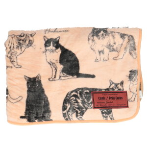 uPbg Ђ| D] G| G| Ђ 炩 Ȃ߂炩 {A ێ G肪ǂ  tl   킢 RpNg