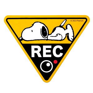 hCuR[_[ hbOTC XebJ[   D] hR }Olbg }OlbgTC  킢 Xk[s[ SNOOPY bN} ^撆 TC REC ^]h~ 