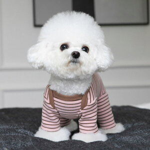 ybg  p[X D]  ̕ hbOEFA ybgEFA Ȃ p㕞   Ck L ˂ lR   Xgb` {[_[ H ~ pW}  IV 킢 J