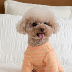 ybg  p[X D]  ̕ hbOEFA ybgEFA Ȃ p㕞   Ck L ˂ lR   Xgb` {[_[ H ~ pW}  IV 킢 J