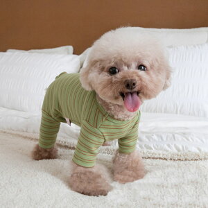 ybg  p[X D]  ̕ hbOEFA ybgEFA Ȃ p㕞   Ck L ˂ lR   Xgb` {[_[ H ~ pW}  IV 킢 J