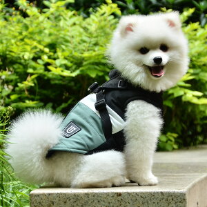 R[g  D] ̕ ybg ybg hbOEFA WPbg ^ ^ wJ wJ n[lXt [htbNt obNR[g U o  Ck L lR ˂ t 