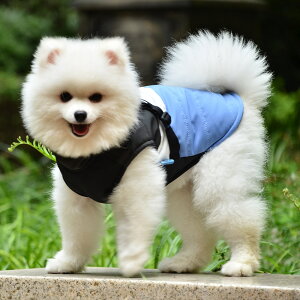 �R�[�g ���� �D�] ���̕� �y�b�g �y�b�g�� �h�b�O�E�F�A �W���P�b�g ���^�� ���^�� �w�J�� �w���J�� �n�[�l�X�t�� ���[�h�t�b�N�t�� �o�b�N���R�[�g �U�� ���o���� �� �C�k �L �l�R �˂� �t 