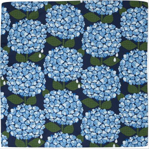 C~ D] C~ C~ GRobO GRobN |GXe ͂  RpNg ^   ͂  킢 s