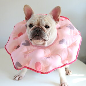 GUxXJ[ h[ic D]  L z GUxX J[ \tg  NbV^Cv ɂȂ _炩 y y O^Cv p p  ی h~ rߖh~ 