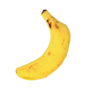 L ܂  D] lR ˂ Lp ߋ V I` ybggC ʂ lV }^^r ЂƂ V  v l` 킢  ybgpi ybgObY G 