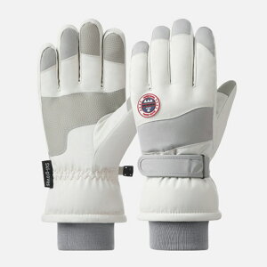 XL[O[u fB[X Y D]  XL[ O[u Xm[O[u 5{w N X}zΉ ۉ ~ ׂ~ g   Xm{ Xm[{[h h h