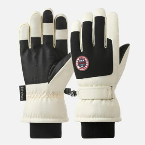 スキーグローブ レディース メンズ 好評 手袋 スキー グローブ スノーグローブ 5本指 裏起毛 スマホ対応 保温 滑り止め すべり止め 暖かい あたたかい あったか スノボ スノーボード 防風 防