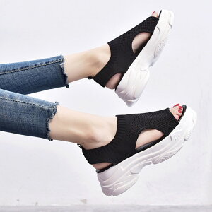 X|[cT_ fB[X  D] T_ JWAV[Y T_ V[Y bVT_ r[`T_ EH[LOV[Y Xj[J[ ₷ y y