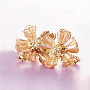 CO T D] lWol  ANZT[ Tz ER-460 r[ŶԃCO r[Y  t[ LL  킢 ꂢ Vv l Mtg v