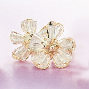 CO T D] lWol  ANZT[ Tz ER-460 r[ŶԃCO r[Y  t[ LL  킢 ꂢ Vv l Mtg v