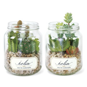 �ϗt�A�� �t�F�C�N�O���[�� �D�] CT�G�} ������� ������ ���L�A�[�e�B�t�B�V�����O���[�� 2�Z�b�g ECLIA �G�N���A �C���e���A�O���[�� ���E���h�|�b�g �L���j�X�^�[ �l�H�A�� �C���e���A 