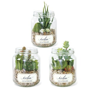 ϗtA tFCNO[ D] CTG}   LA[eBtBVO[ 3Zbg ECLIA GNA CeAO[ Eh|bg LjX^[ CeA lHA 