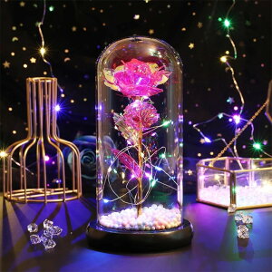 KXh[ t[ LED D] CeACg   Cg CeA   o LL ͂Ȃ  u IuWF 蕨 Mtg ̓ a  EGfBO