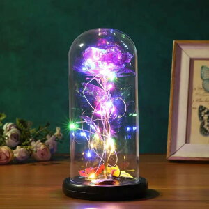 �K���X�h�[�� ���C�g �D�] ��ド�C�g LED �t�����[���C�g �K���X �h�[�����C�g LED���C�g �t�����[ �� �o�� �� �I�u�W�F �u�� �K���X�A�[�g ��蕨�̉� ��� ���� ���r���O �C���~�l�[�V����