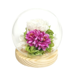 ������ �K���X�h�[�� ���{ ���� �D�] �v���U�[�u�h�t�����[ �t�����[�A�����W�����g �v���U�[�h�t�����[ ������ ���� ���� ��̂Ђ�T�C�Y �h�[�� �h�[���^�C�v ���d�p ���~ �� �t�����[ ��