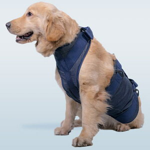 n[lX p  xg L XL ybg D] s⏕n[lX ⏕n[lX ⏕ n[lX s⏕ xg Sg SgT|[g T|[g   Ck  ⏕ V p 