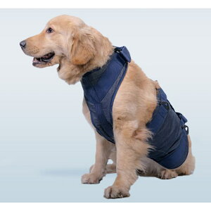 n[lX p  xg XS S M D] s⏕n[lX ⏕n[lX ⏕ n[lX s⏕ xg Sg SgT|[g T|[g   Ck  ⏕ V p nr