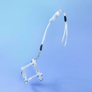 n[lX Lp D] [hZbg Lpn[lX ybg[h ybg Lpn[lX L[h ȒPE TCY߉\ U o| g[񃓃O 킢   yb