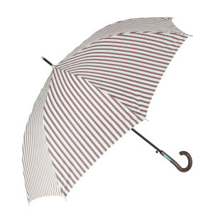 P fB[X ϕ D] P 60cm  amusant sous la pluie ϕP OXt@Co[ v ɂ l 킢  ʋ ʊw Vv Z ϕ JWA JP
