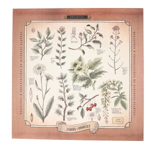 CeApl t@ubNpl SQ D]  pl Ǌ|  A[gpl G G {[h |X^[ ؘg t@ubN CXg fUC Ŕ fBXvC L LH C