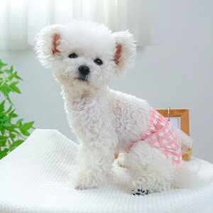 hbOEFA Tj^[pc }i[oh D] ނ Ic p}i[oh pc }i[pc ނJo[ }[LOh~  ^ 킢    p p