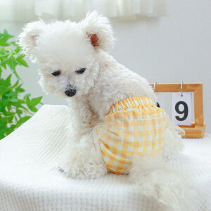 hbOEFA Tj^[pc }i[oh D] ނ Ic p}i[oh pc }i[pc ނJo[ }[LOh~  ^ 킢    p p