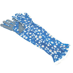 K[fjO   D] OO[u UVJbg }`O[u O  Rbg A[Jo[ ~ O΍ MǑ΍ Ă΍ _  d ƒ؉ 