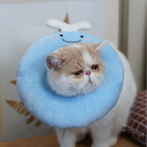 GUxXJ[ \tg Lp p D] pGUxXJ[ NbV LpGUxXJ[ _炩 pEFA p PApi rߖh~ ~h~ y y ybg  L lR