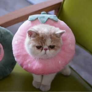 GUxXJ[ \tg Lp p D] pGUxXJ[ NbV LpGUxXJ[ _炩 pEFA p PApi rߖh~ ~h~ y y ybg  L lR